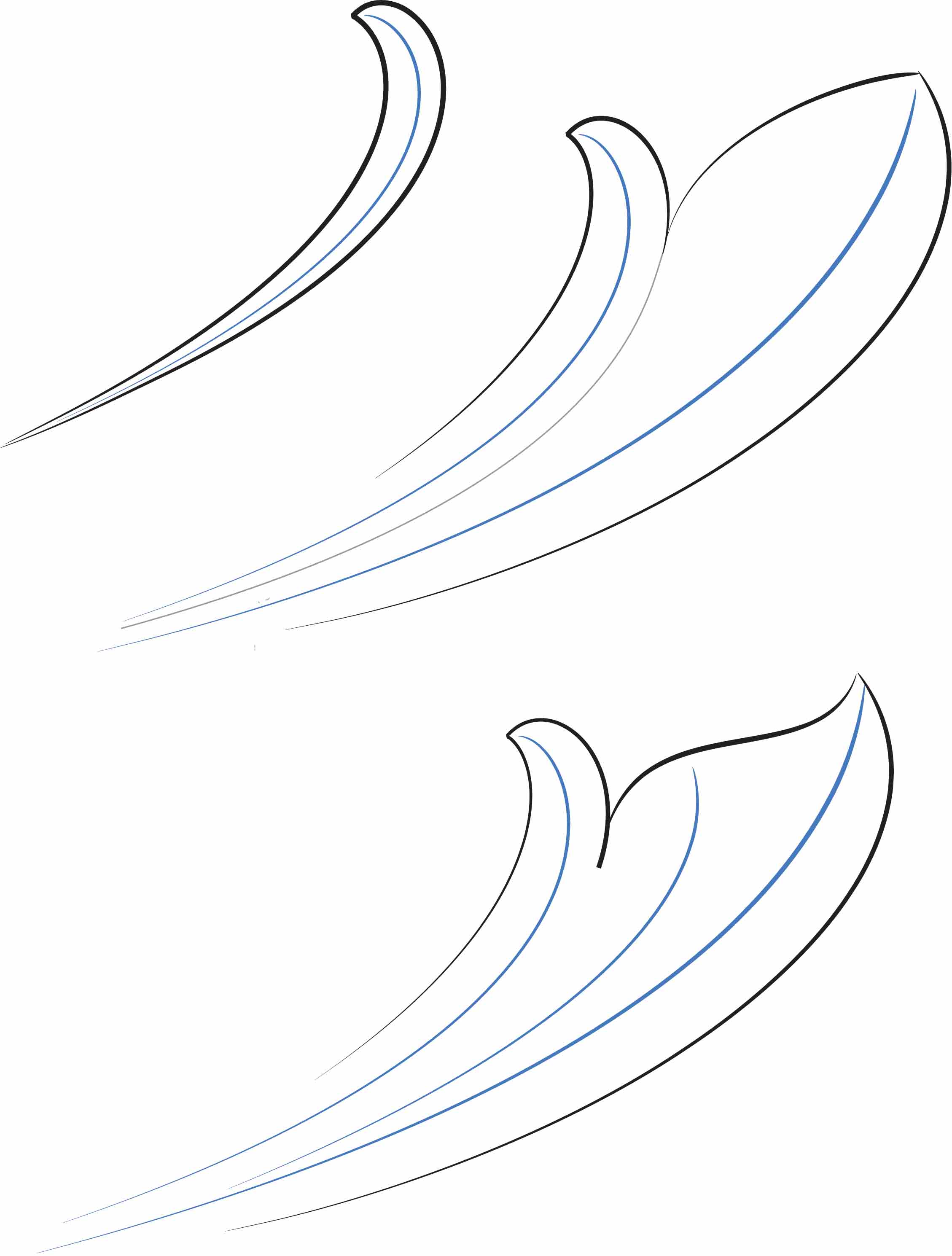 Skeletal-Leaf-development-pg-1